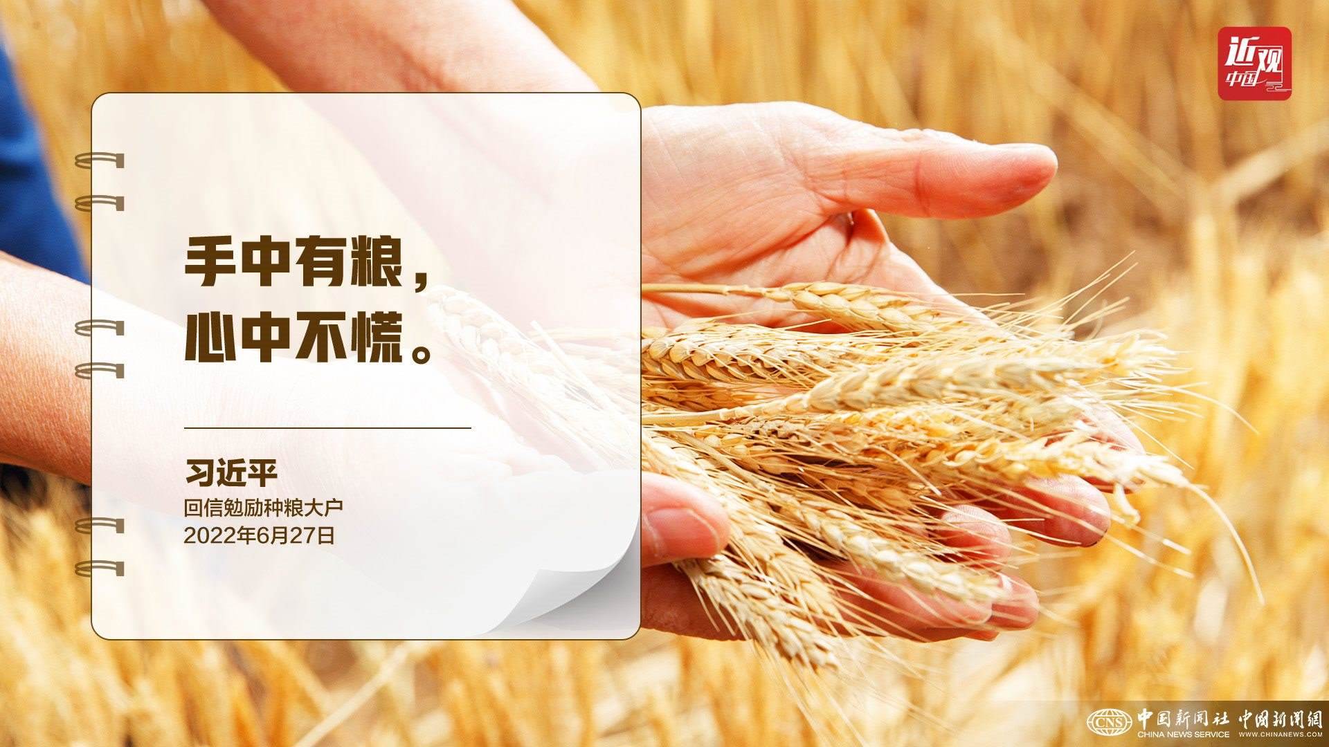 習(xí)近平：樹(shù)立大食物觀，構(gòu)建多元化食物供給體系