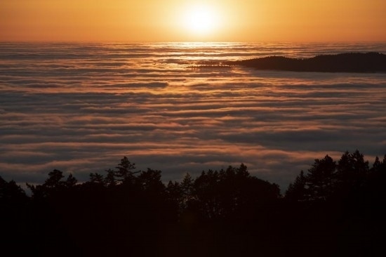 這是5月14日在美國加利福尼亞州馬林縣拍攝的云海。新華社發(fā)（李建國攝）