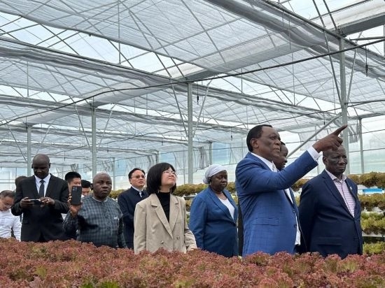 使節(jié)團(tuán)考察貴州省清鎮(zhèn)駱家橋蔬菜保供基地的無(wú)土栽培溫室。新華社記者 袁睿 攝