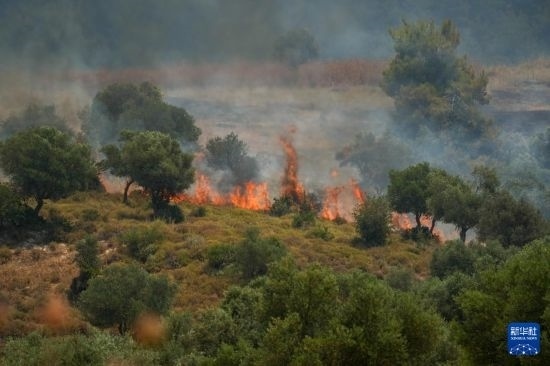6月12日，以色列北部加利利地區(qū)遭受火箭彈襲擊后冒出滾滾濃煙。新華社發(fā)（阿亞爾·馬戈林?jǐn)z/基尼圖片社）