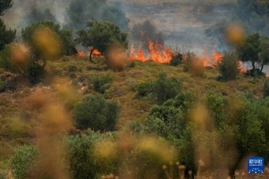6月12日，以色列北部加利利地區(qū)遭受火箭彈襲擊后冒出滾滾濃煙。新華社發(fā)（阿亞爾·馬戈林?jǐn)z/基尼圖片社）