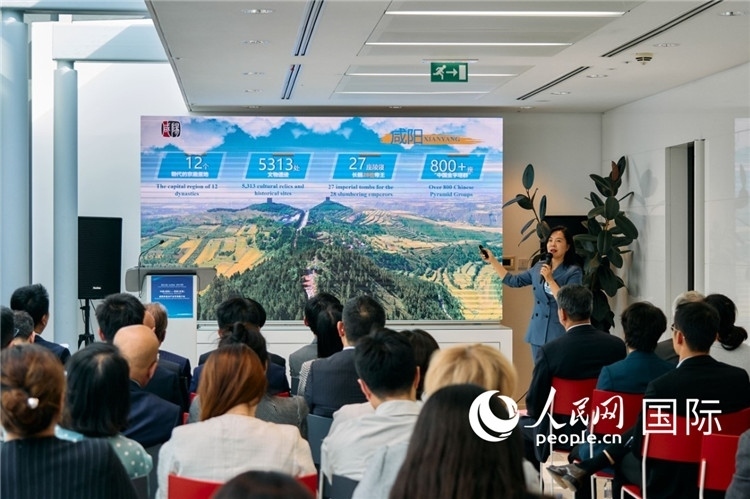 咸陽市招商局局長(zhǎng)王苗致辭。