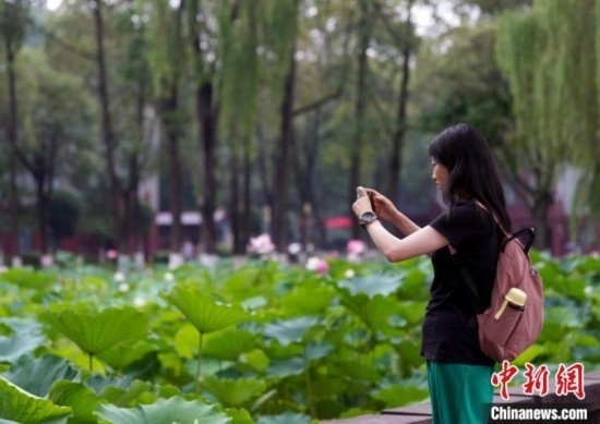 6月19日，時(shí)值一年畢業(yè)季，四川大學(xué)望江校區(qū)荷花池里的荷花盛開，成為了畢業(yè)生們的打卡圣地，吸引了眾多畢業(yè)生拍照留念。圖為畢業(yè)生在荷花池邊拍照留念。中新社記者 安源 攝
