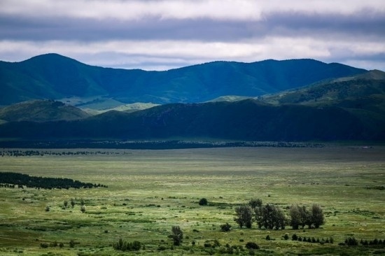 2023年8月4日拍攝的大興安嶺南麓內蒙古罕山國家級自然保護區(qū)風光。新華社記者 連振 攝