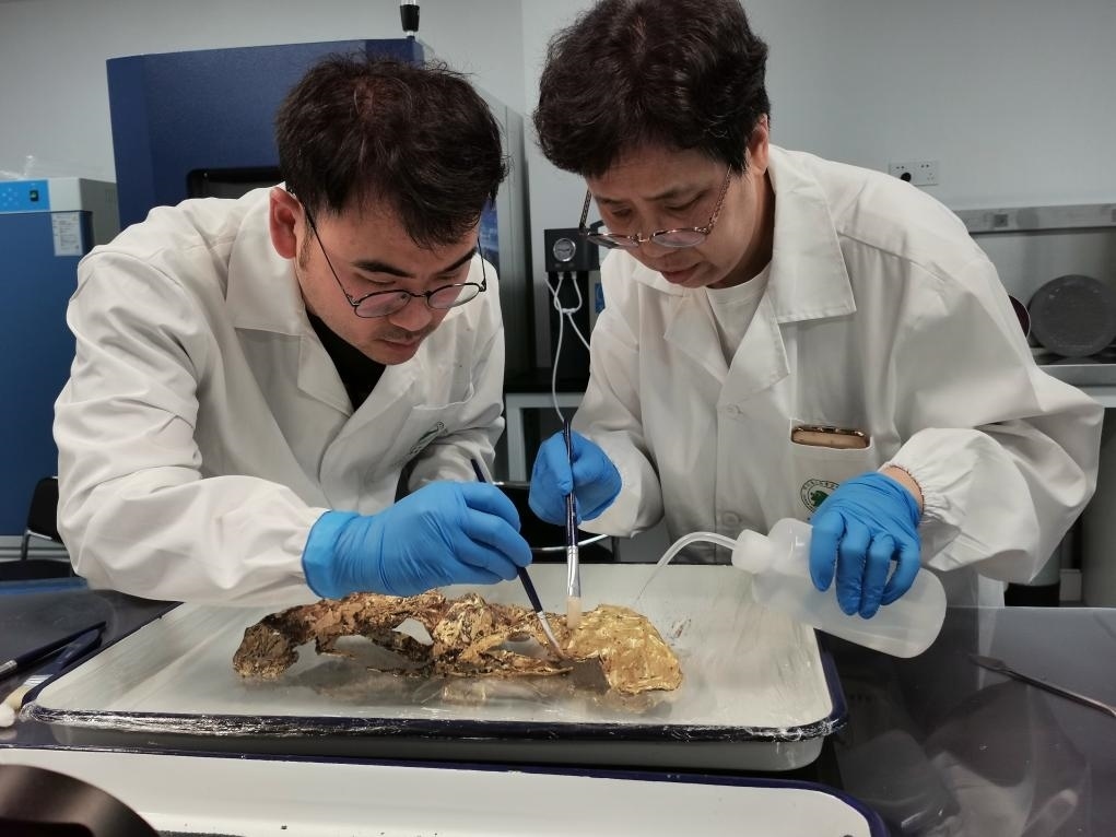 2023年7月，馬燕如（右）帶著魯海子（左）修復(fù)三星堆遺址出土的黃金面具。新華社發(fā)（四川省文物考古研究院供圖）