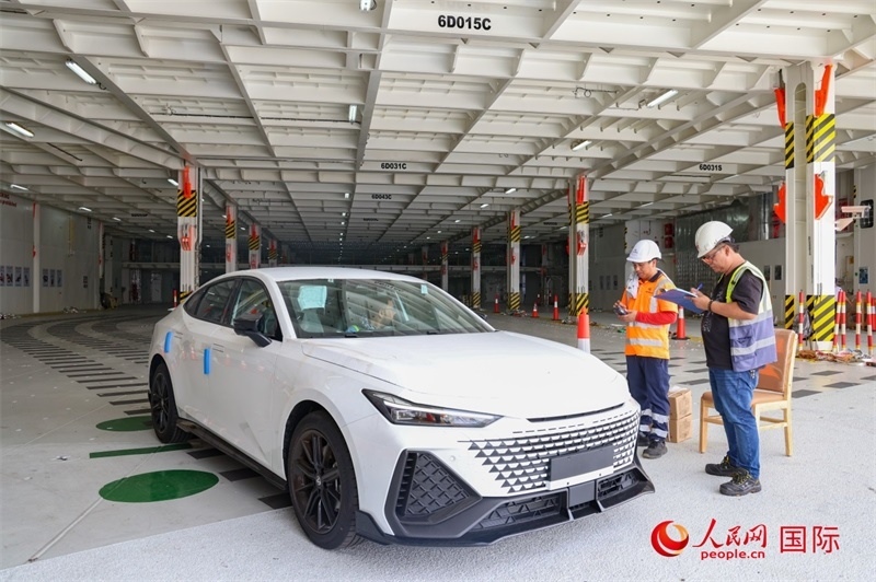 工人正在進(jìn)行卸車作業(yè)。人民網(wǎng)記者 任皓宇攝