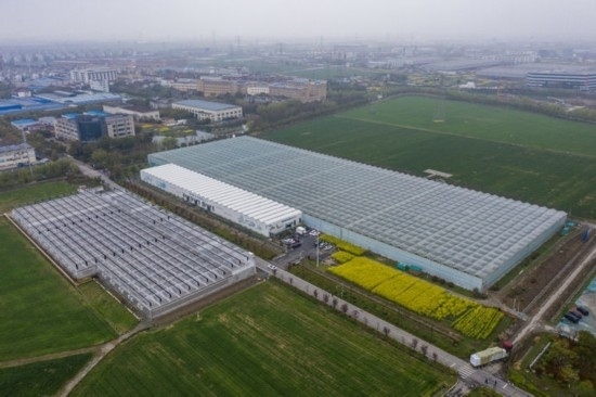 2024年3月28日，空中俯瞰嘉興南湖區(qū)湘家蕩農(nóng)業(yè)數(shù)字化工廠（無人機照片）。該農(nóng)業(yè)數(shù)字化工廠占地總面積約62畝，包含智慧農(nóng)業(yè)生產(chǎn)、物聯(lián)網(wǎng)智能管理、自動分揀包裝、保鮮儲藏物流、高科技示范展示等五大功能區(qū)，可直接或間接培養(yǎng)帶動新型職業(yè)技術(shù)農(nóng)民500人以上。新華社記者 徐昱 攝