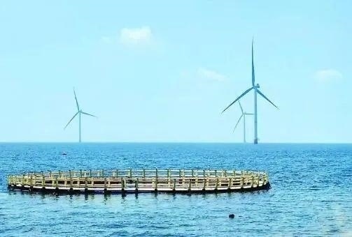 △山東萊州風(fēng)電項目實現(xiàn)了海上風(fēng)電和海洋牧場融合發(fā)展。