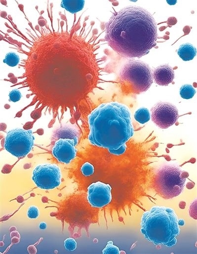 用氯化鈉處理的高活性CD8 T細(xì)胞（紫色），與未經(jīng)處理的細(xì)胞（藍(lán)色）相比，其抗腫瘤能力更強，能夠顯著損傷腫瘤細(xì)胞（紅色）。圖片來源：德國耶拿弗里德里?！は沾髮W(xué)