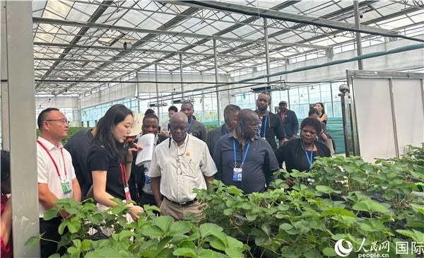 研討班成員在大棚中了解植物種植技術(shù)。人民網(wǎng) 曹欣悅攝