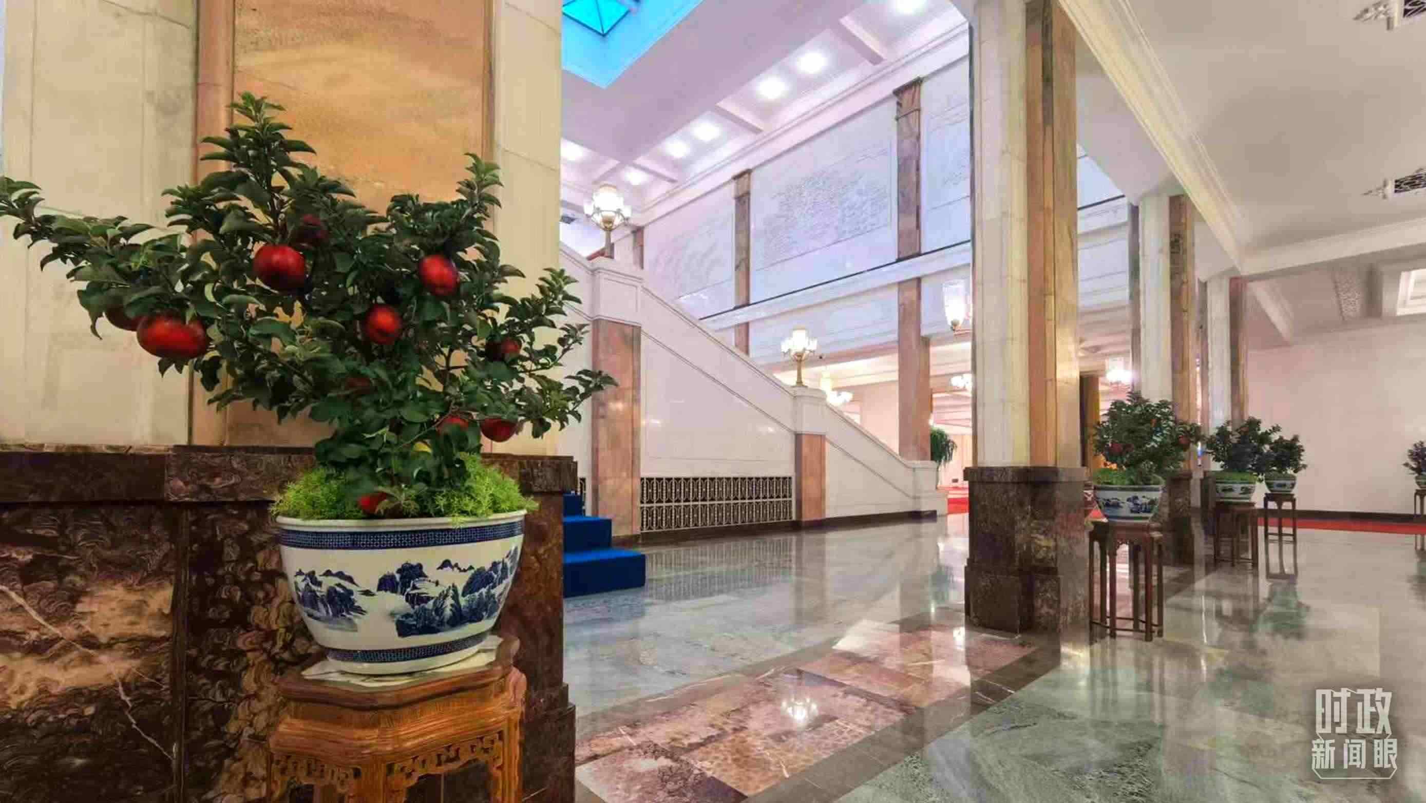  △大會(huì)堂內(nèi)的“碩果累累”盆栽。（總臺(tái)國(guó)廣記者吳倩拍攝）