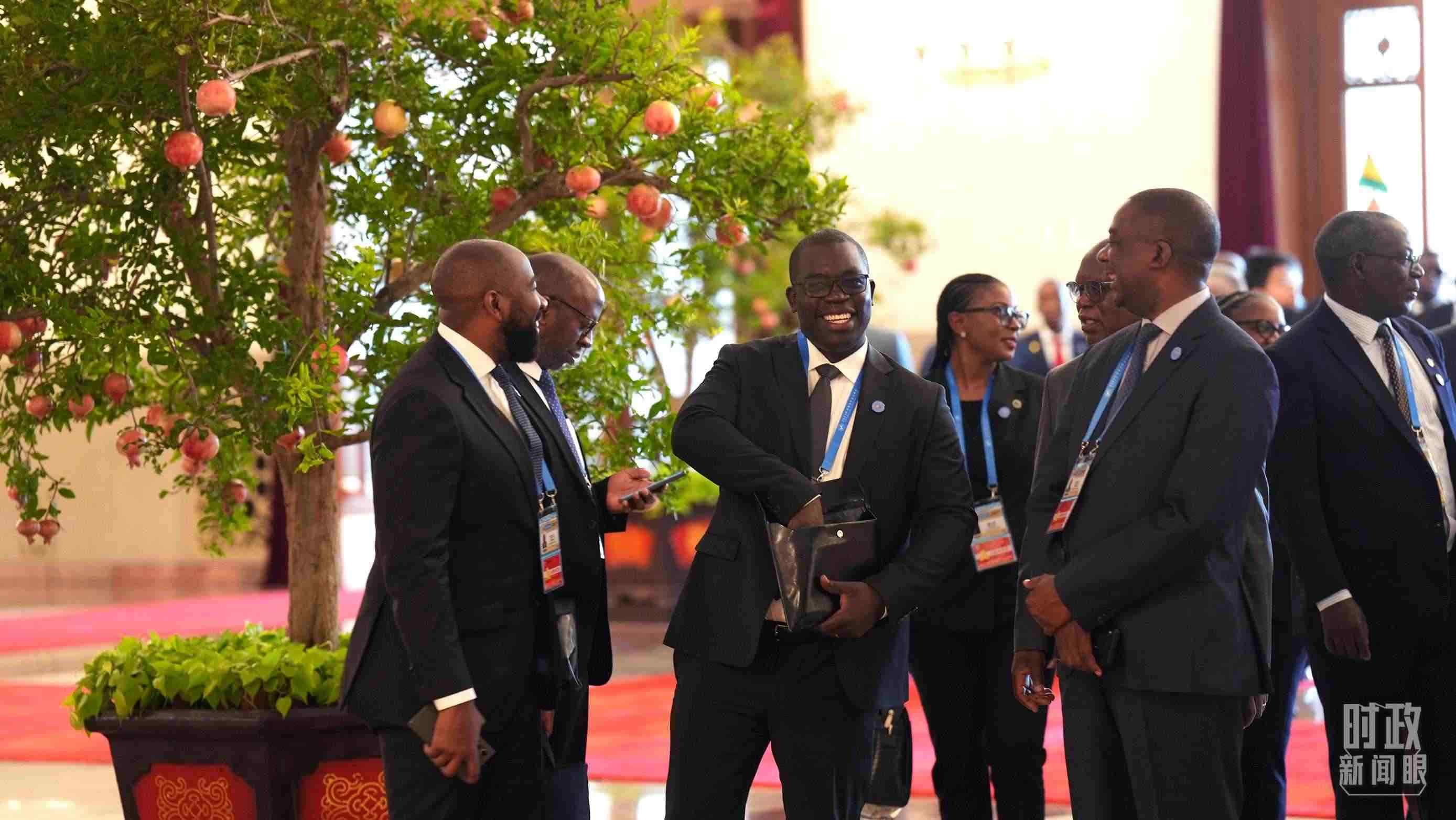 出席中非合作論壇北京峰會的非洲國家代表。（總臺記者李晉拍攝）