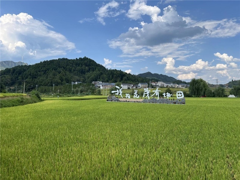 青瓦白磚的黔北民居、風(fēng)中搖曳的稻田、抬手可觸的大片云朵……才剛下車，格魯吉亞“經(jīng)濟(jì)中心網(wǎng)”總編輯莉安娜·喬爾喬利亞尼就被眼前的景色拖住了步履，喃喃細(xì)語(yǔ)：“實(shí)在太美了，讓我內(nèi)心平靜，在這里生活一定非常安逸和幸福。”（邱輝攝）