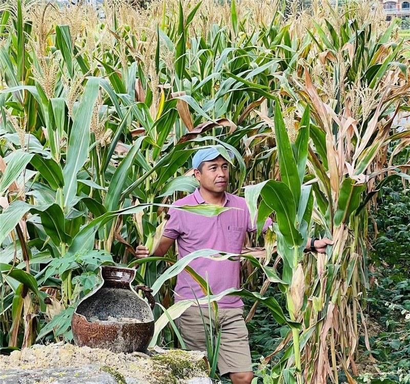 不是攀登石林高臺(tái)，就是鉆入玉米莊稼地，吉爾吉斯斯坦《自由之山報(bào)》總編輯納拉雷·阿桑巴耶夫“身手不凡”，與生長(zhǎng)旺盛的玉米構(gòu)成了花茂村的鄉(xiāng)間野趣。（張亞欣攝）