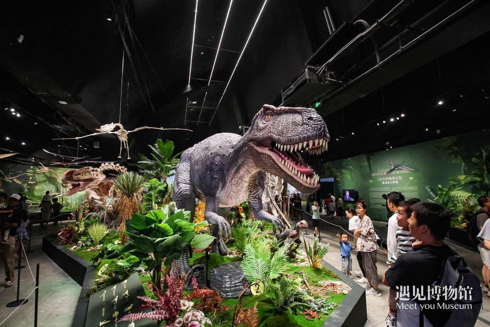 2. 游客參觀“2億年的地球記憶——恐龍化石特展”。遇見博物館供圖