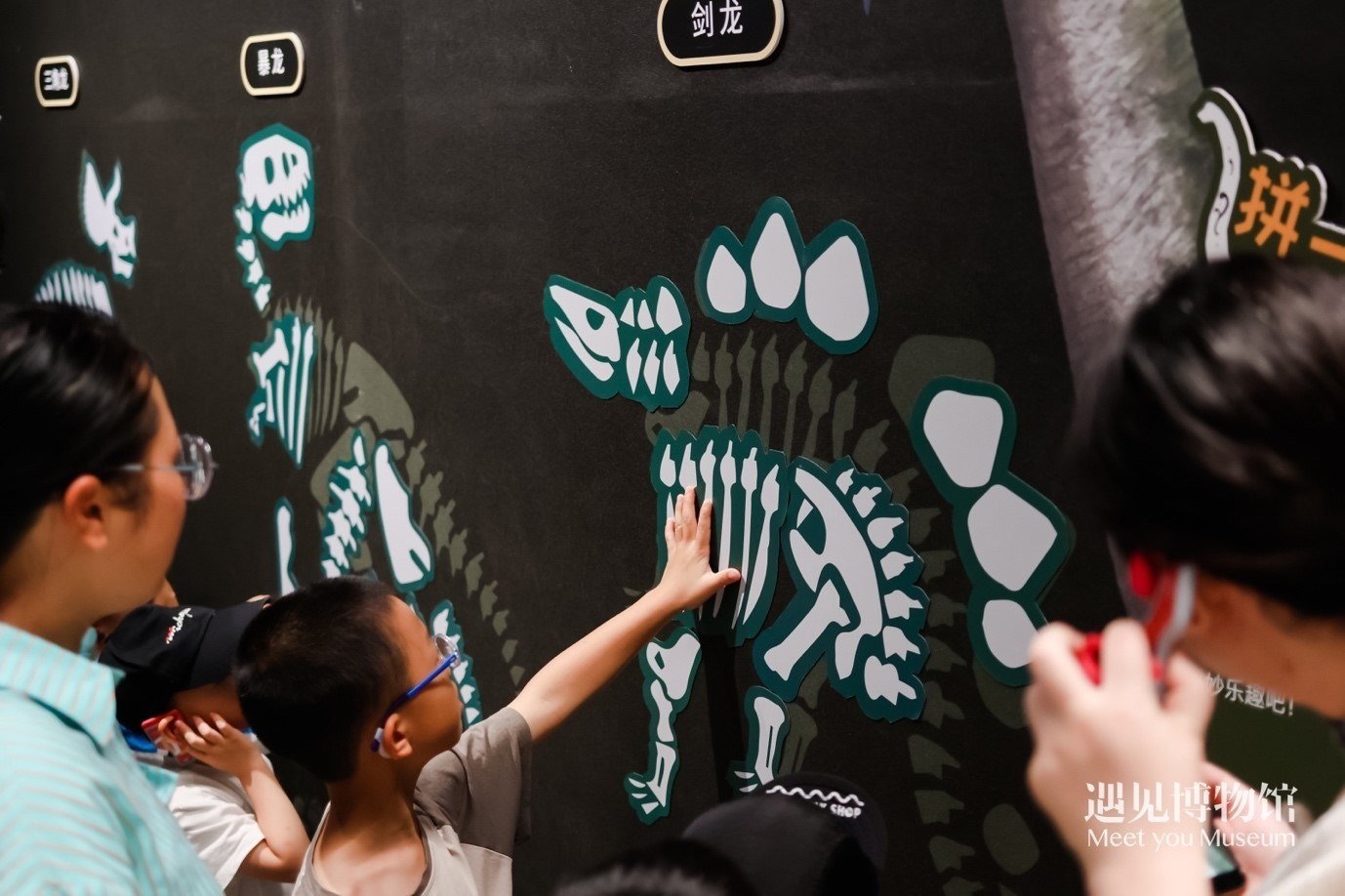 5. “2億年的地球記憶——恐龍化石特展”互動區(qū)域。遇見博物館供圖