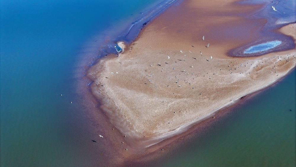 2024年3月1日拍攝的黃河寧夏段（無人機照片）。