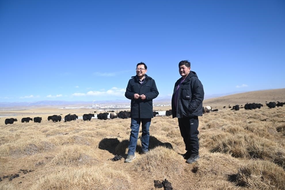 2023年2月24日，在青海省海北藏族自治州海晏縣青海湖鄉(xiāng)達(dá)玉日秀村，全國人大代表董全民（左）查看牧民東知布家的草場。新華社記者 張龍 攝