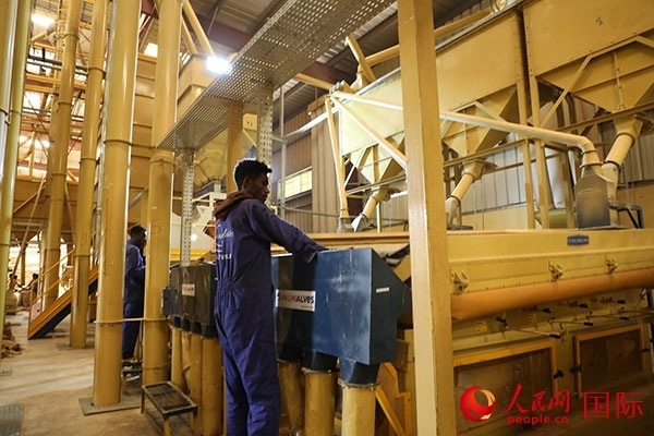 在Bule Hora咖啡加工廠(chǎng)里工作的當(dāng)?shù)毓と藗?。人民網(wǎng)記者 沈小曉攝