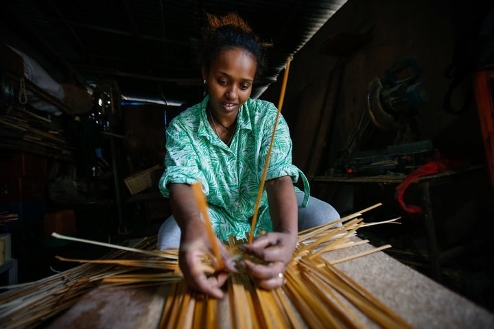 2024年8月10日，菲基爾特·加布雷在埃塞俄比亞首都亞的斯亞貝巴名為“綠色金子”的竹藤工作室里加工竹制產(chǎn)品。新華社發(fā)（邁克爾·特韋爾德 攝）