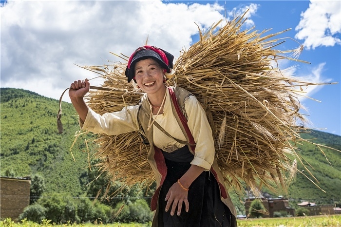 康定市甲根壩鎮(zhèn)青稞豐收，農(nóng)牧民臉上洋溢著豐收的喜悅。林革文攝