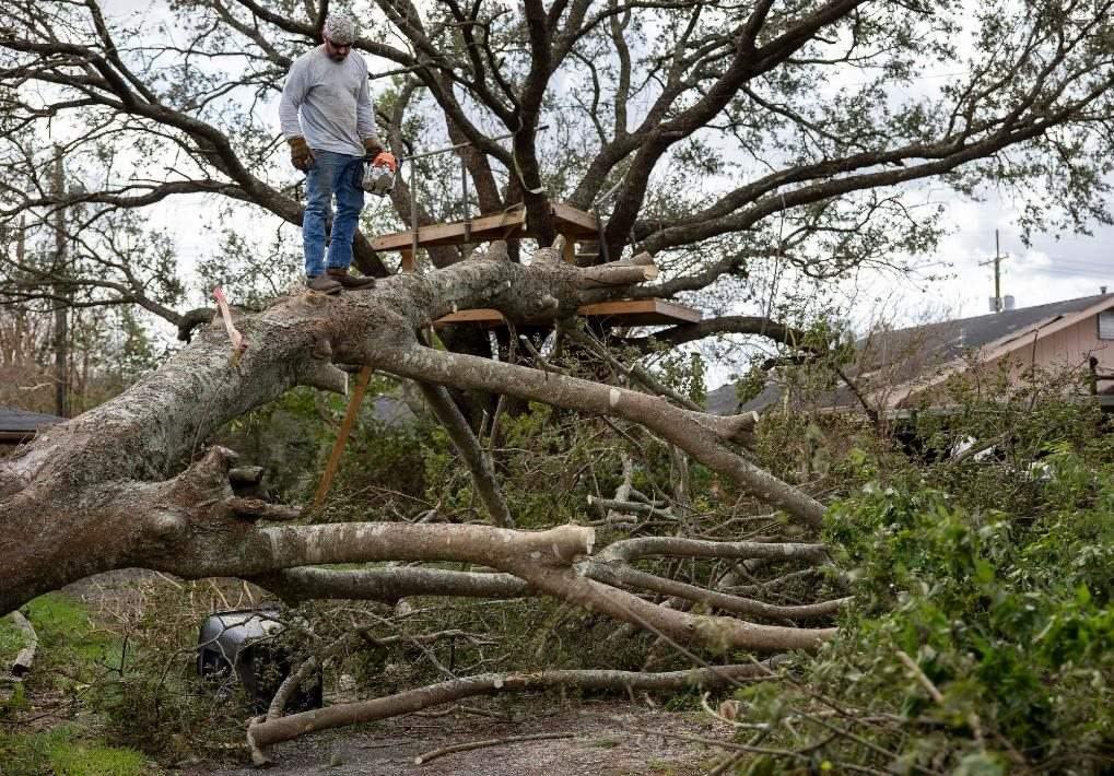 2021年8月30日，在美國路易斯安那州霍馬，一名男子站在被颶風(fēng)吹倒的大樹上。新華社發(fā)（尼克·瓦格納 攝）