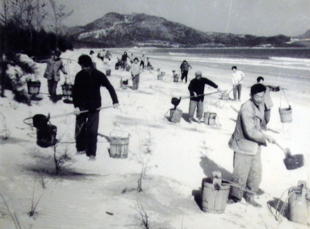 上世紀(jì)東山百姓在沙灘造林（資料照片）。