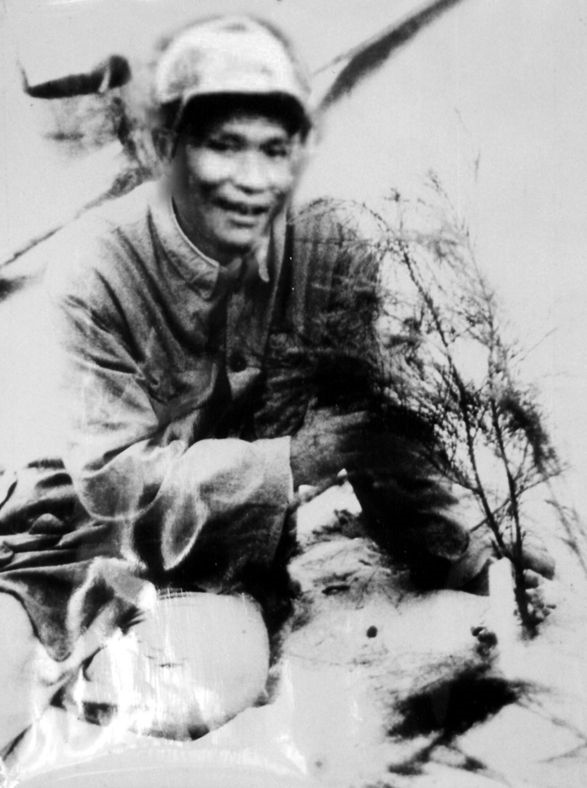 谷文昌與試種成活的木麻黃（資料照片）。為了治沙，谷文昌爬遍了東山縣400多個(gè)山頭，踏遍了30多公里的沙灘，終于帶領(lǐng)東山人民試種木麻黃成功。