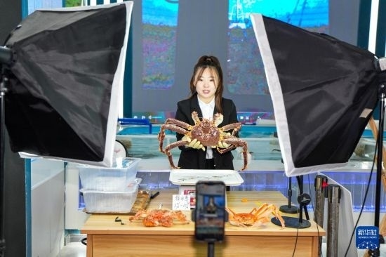 9月20日，在吉林省琿春市的帝王蟹保稅店內(nèi)，工作人員進行網(wǎng)絡直播售賣帝王蟹。新華社記者 許暢 攝