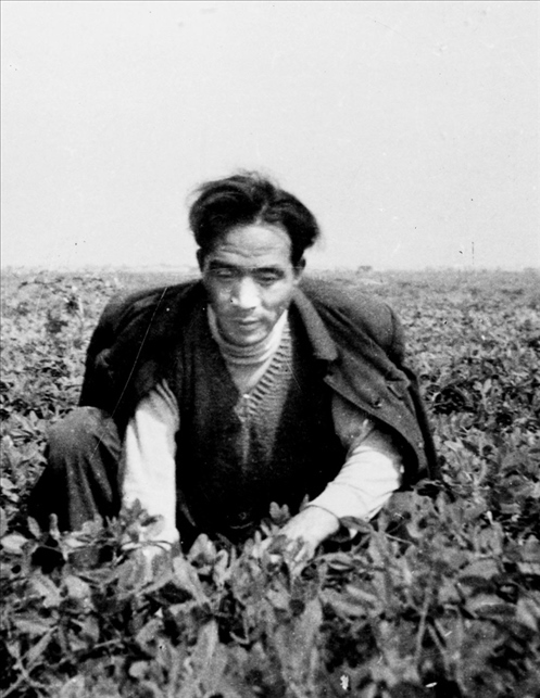 在蘭考期間，焦裕祿在田間勞動(dòng)的情景。