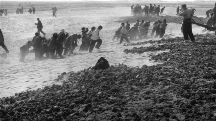 蘭考群眾在拉淤土壓沙。（新華社記者 鄧歷耕 攝）