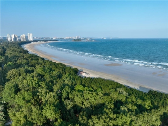 郁郁蔥蔥的東山縣沿海防護(hù)林（無(wú)人機(jī)拍攝）。新華社記者 姜克紅 攝