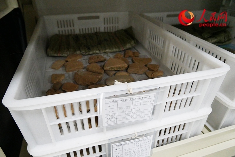 已經(jīng)整理完畢的文物標(biāo)本。人民網(wǎng)記者 韋衍行攝
