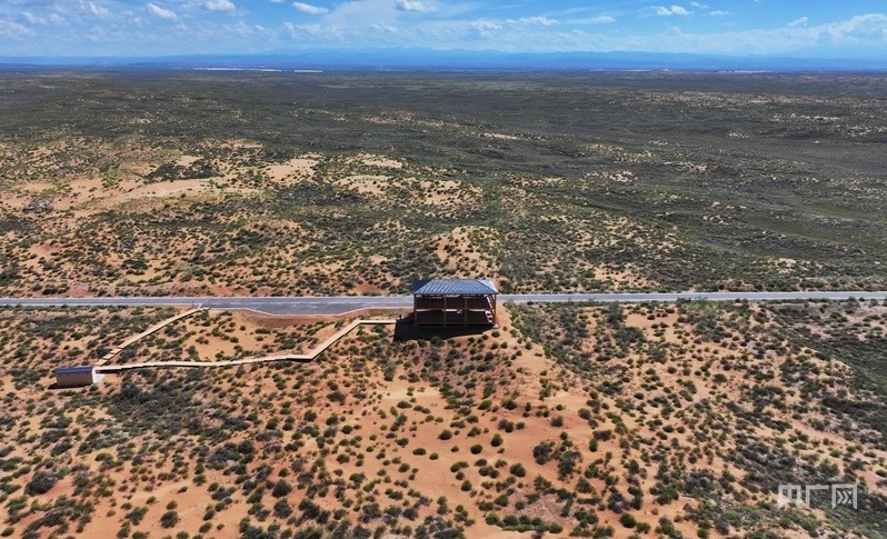 古浪縣一代代人治沙不息，讓綠色向沙漠深處不斷延伸（央廣網(wǎng)記者 李紅軍 攝）