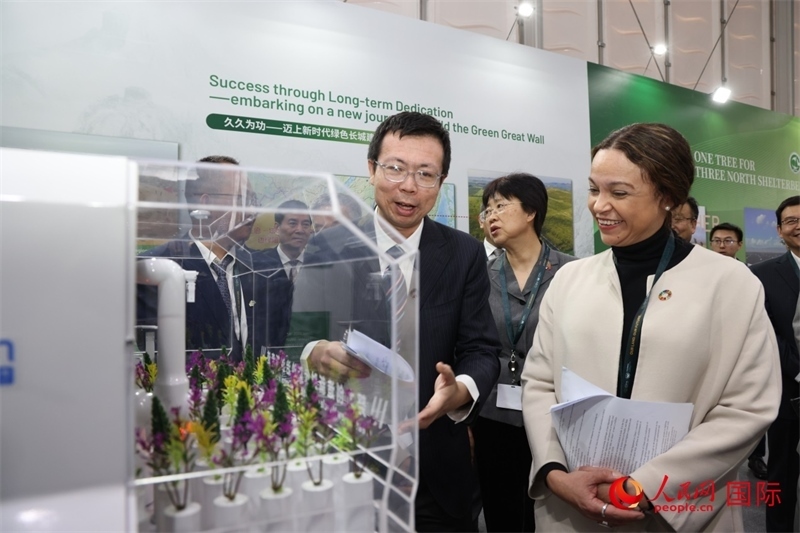 嘉賓參觀中國館。人民網(wǎng)記者任皓宇攝