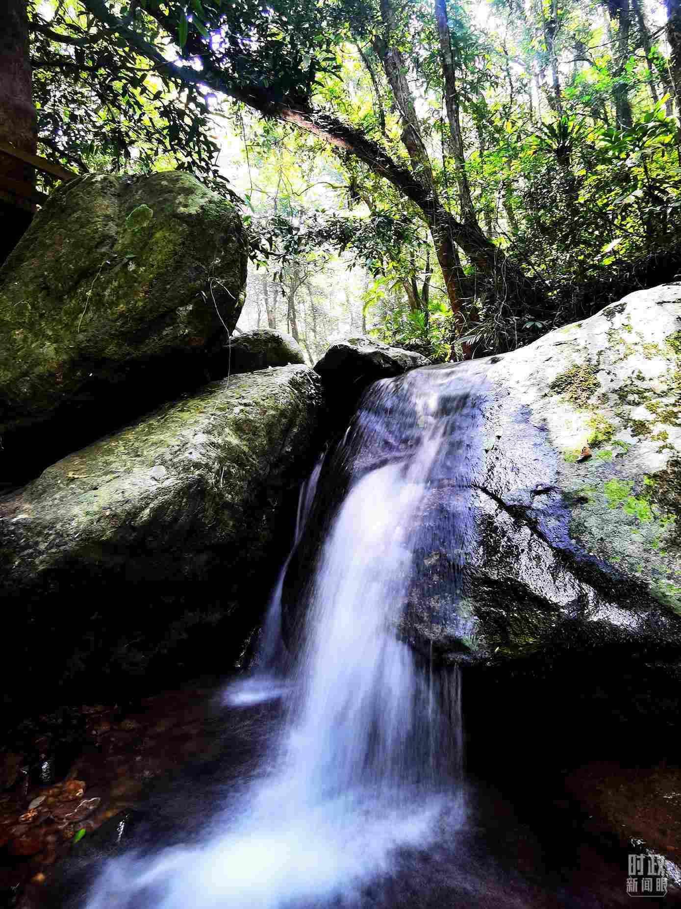 海南五指山。（總臺央視記者劉琦拍攝）