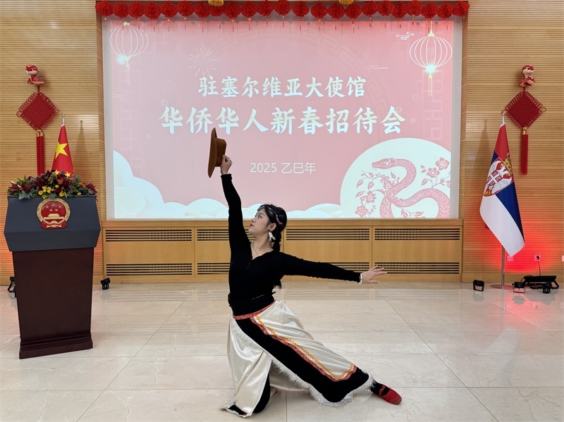 招待會現(xiàn)場表演。諾維薩德孔子學(xué)院供圖