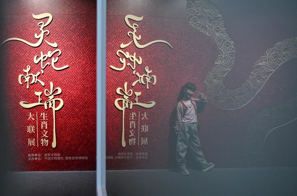 1月18日，一名小朋友在國(guó)家自然博物館舉辦的“靈蛇獻(xiàn)瑞——2025乙巳蛇年生肖文物大聯(lián)展”展覽中拍照留念。（新華社記者 陳鐘昊 攝）