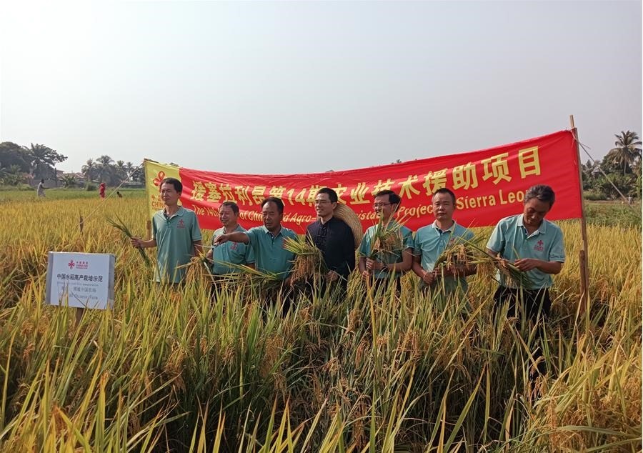 中國(guó)駐塞拉利昂大使王擎和援塞農(nóng)業(yè)專家組合影。中國(guó)援塞農(nóng)業(yè)專家組供圖