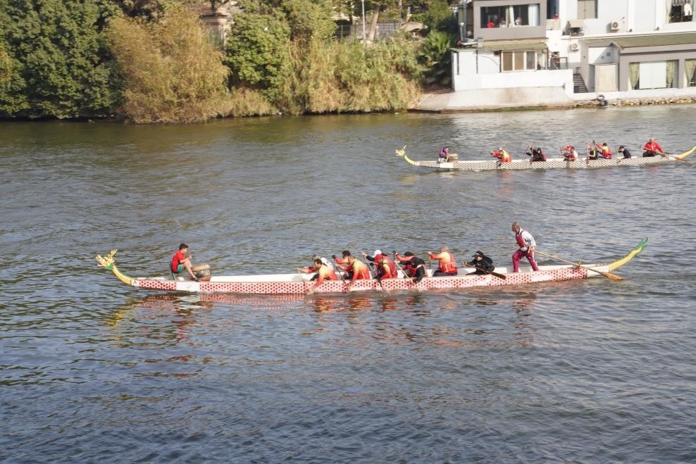 活動現(xiàn)場龍舟競技，共慶春節(jié)。開羅中國文化中心供圖