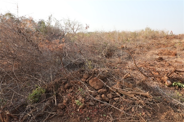 施工現(xiàn)場(chǎng)。張曉昆攝