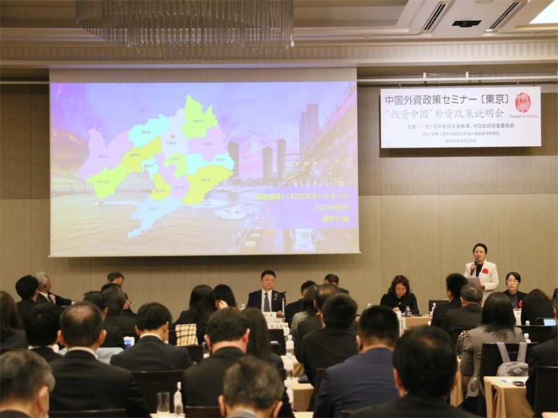 地方代表進(jìn)行專題投資推介。人民網(wǎng) 許可攝