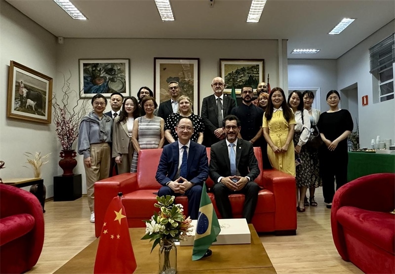 圖為參加座談會(huì)的來賓合影留念。 圣保羅州立大學(xué)孔子學(xué)院供圖