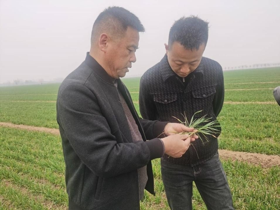 在山東濟(jì)寧汶上縣苑莊鎮(zhèn)，農(nóng)技員黃海龍對(duì)種糧大戶王振現(xiàn)場(chǎng)進(jìn)行春耕指導(dǎo)。人民網(wǎng)記者 車柯蒙攝