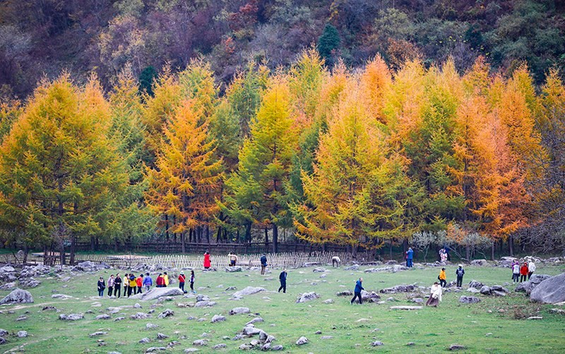 2023年10月27日，深秋時節(jié)的陜西秦嶺太子嶺五彩斑斕，進(jìn)入最佳觀賞期。