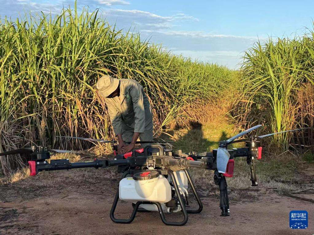3月25日，在南非夸祖魯-納塔爾省的方廷希爾莊園，工作人員為無(wú)人機(jī)做起飛作業(yè)前的準(zhǔn)備。新華社記者 白舸 攝