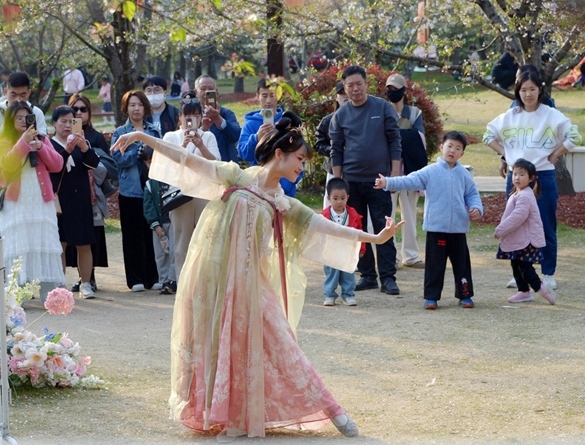 清明假期期間，上海顧村公園櫻花島上，游客在觀賞國風漢服快閃表演。（圖片來源：視覺中國）