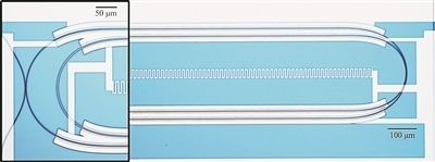 微波光量子傳感器的光學(xué)顯微照片。圖片來(lái)源：美國(guó)哈佛大學(xué)