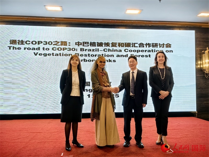 中國國家林業(yè)和草原局副局長李云卿（右二）、巴西環(huán)境和氣候變化部部長瑪麗娜·席爾瓦（左二）、巴西財(cái)政部副部長羅熙丹（右一）、巴西駐華大使館公參樂美（左一）出席“通往COP30之路：中巴植樹造林和碳匯合作研討活動(dòng)”。人民網(wǎng)記者 符園園攝