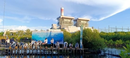 5月18日，中印尼嘉賓在爪哇7號燃煤電站舉行紅樹林補植儀式。記者 曹凱 攝